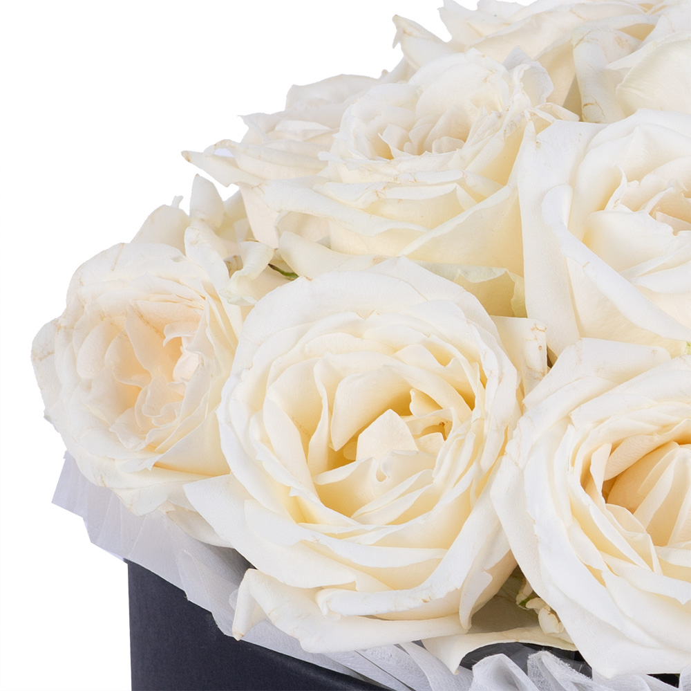 Букет из 19 белых роз premium в черной шляпной коробке