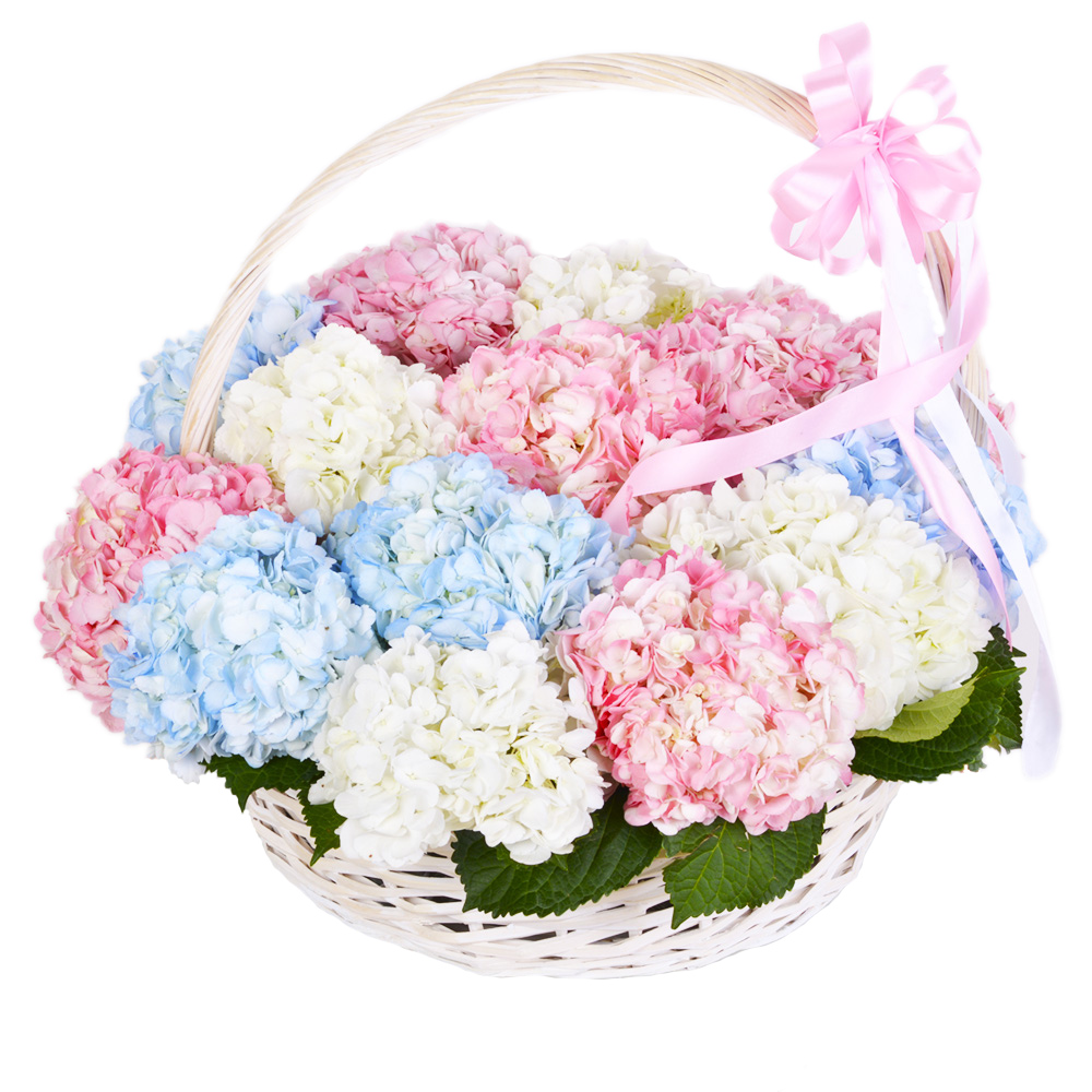Корзина 15 разноцветных гортензий