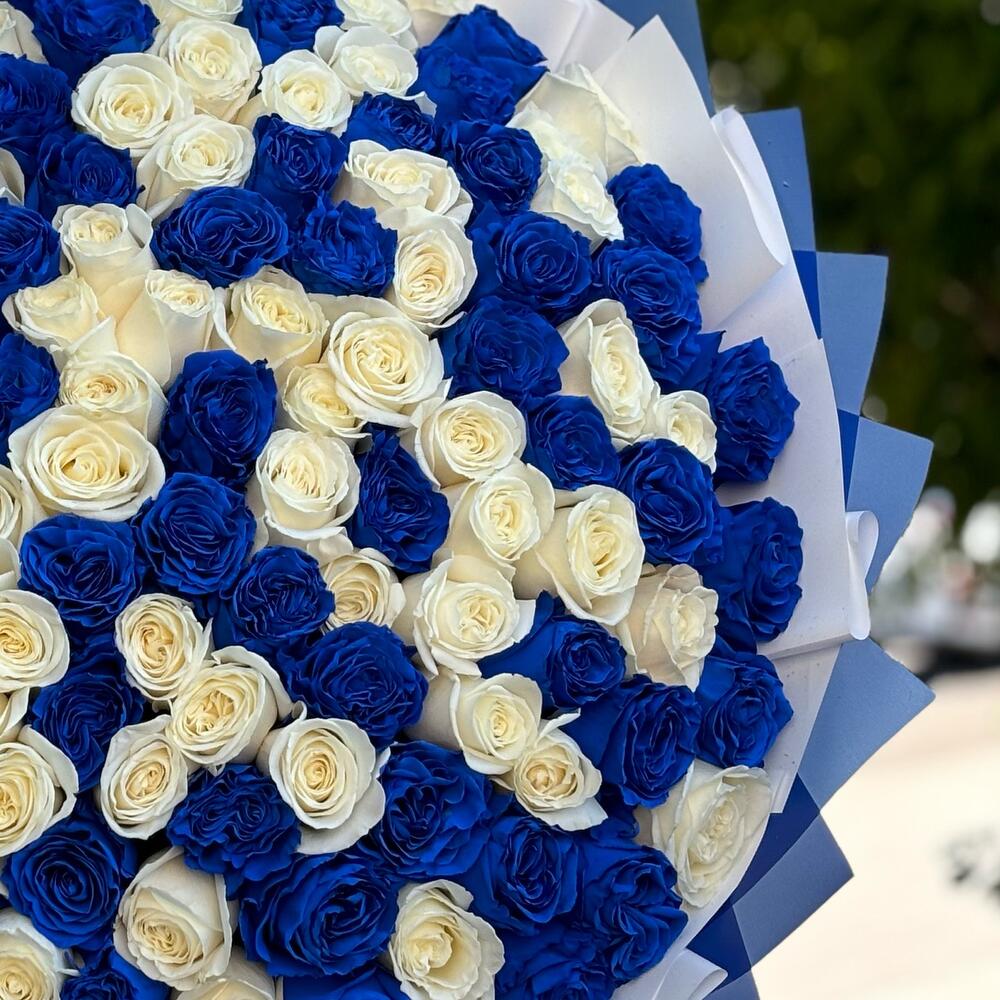 Букет из 101 синей и белой розы