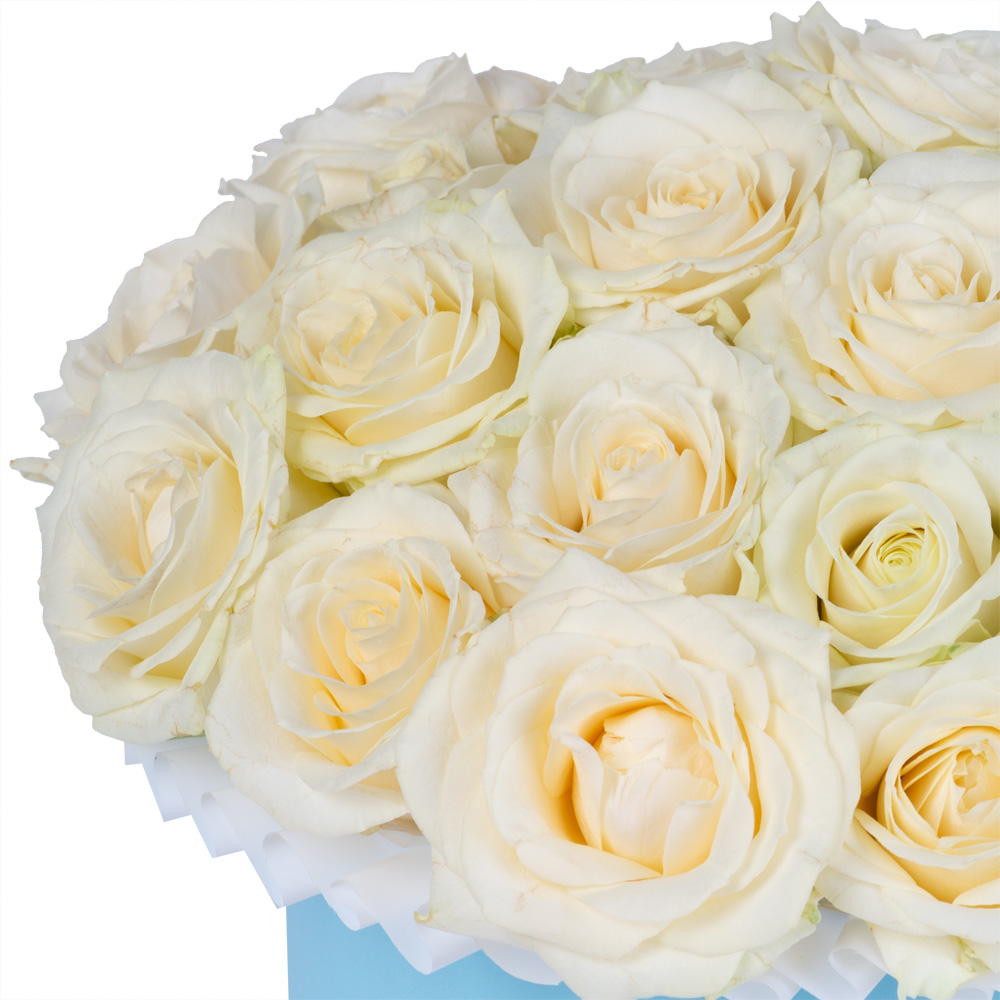 Букет из 25 белых роз premium в голубой шляпной коробке