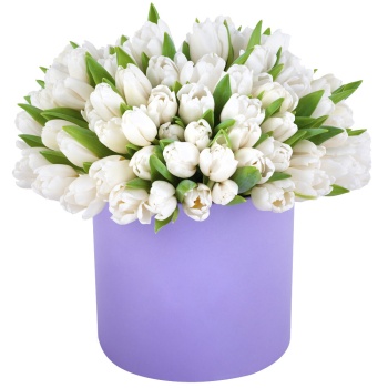 101 белый тюльпан в фиолетовой шляпной коробке