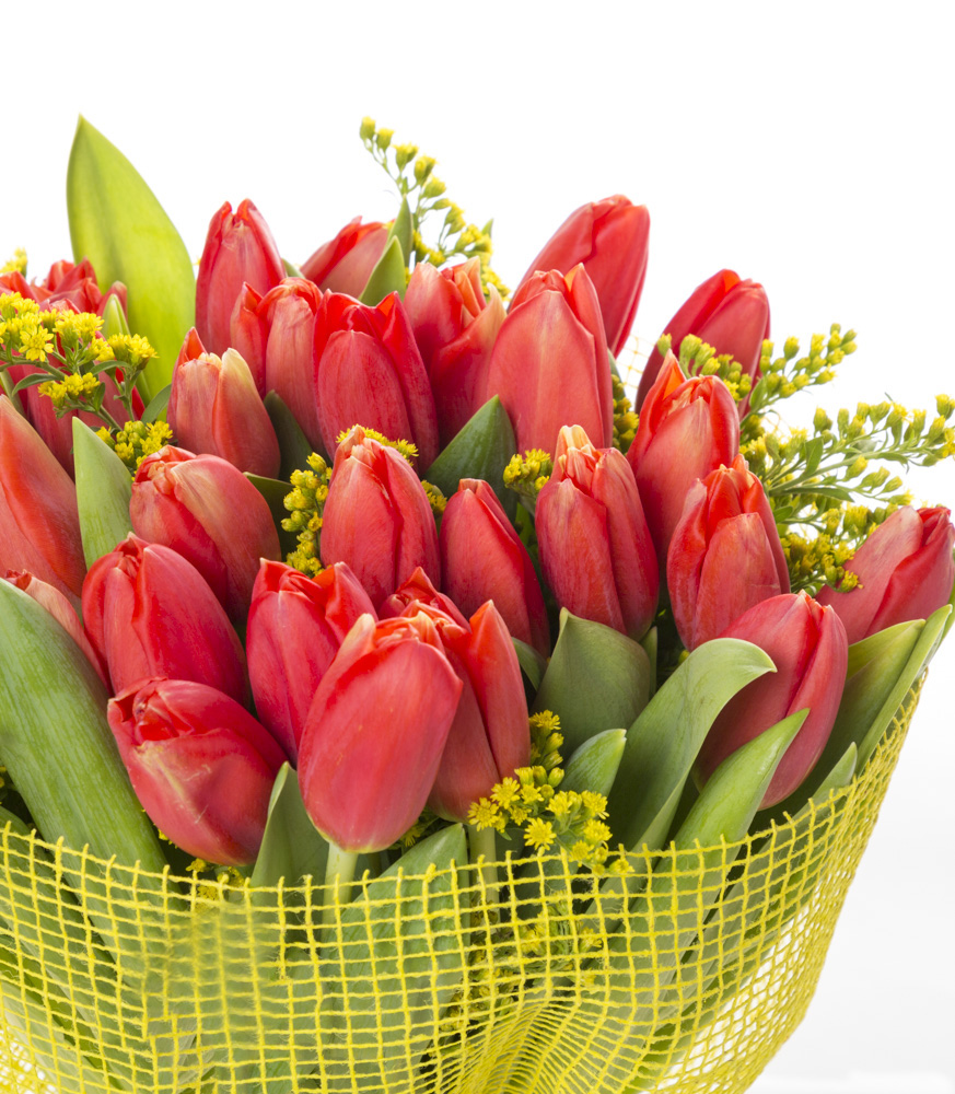 Букет из 35 красных тюльпанов