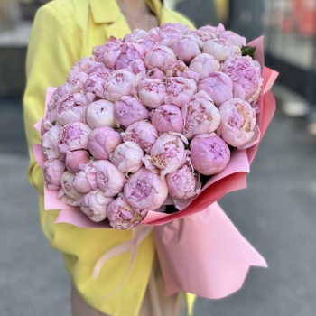 Букет из 51 нежно-розового пиона