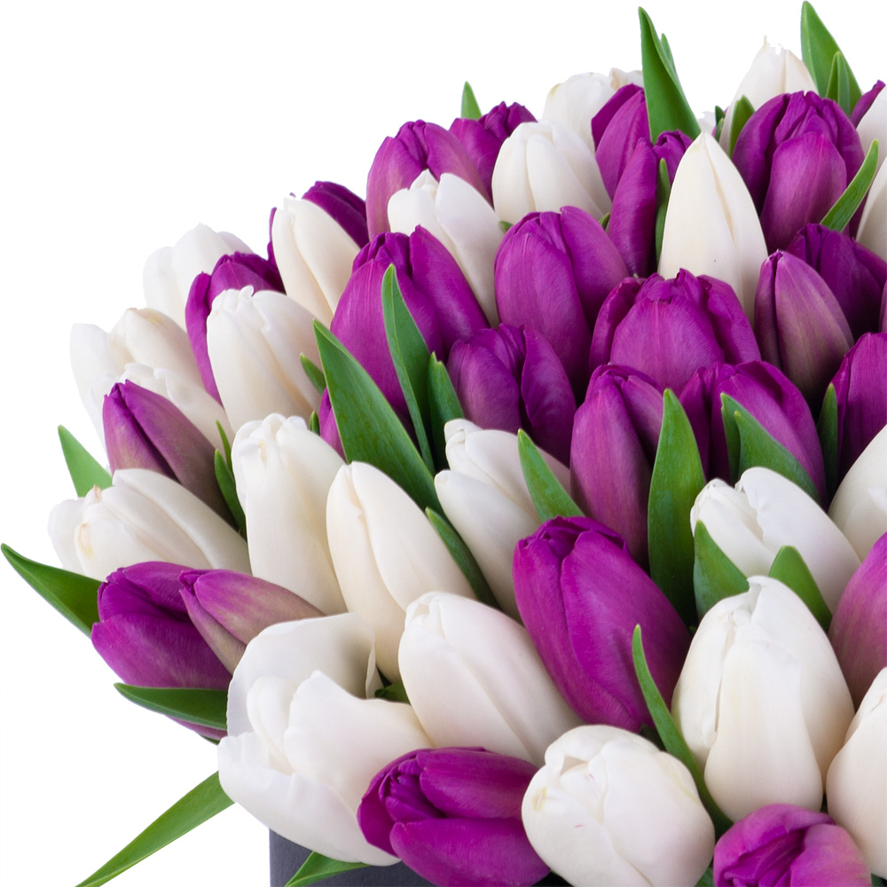 101 разноцветный тюльпан в черной шляпной коробке