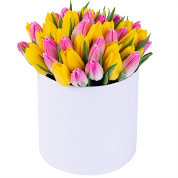 51 разноцветных тюльпан в белой шляпной коробке