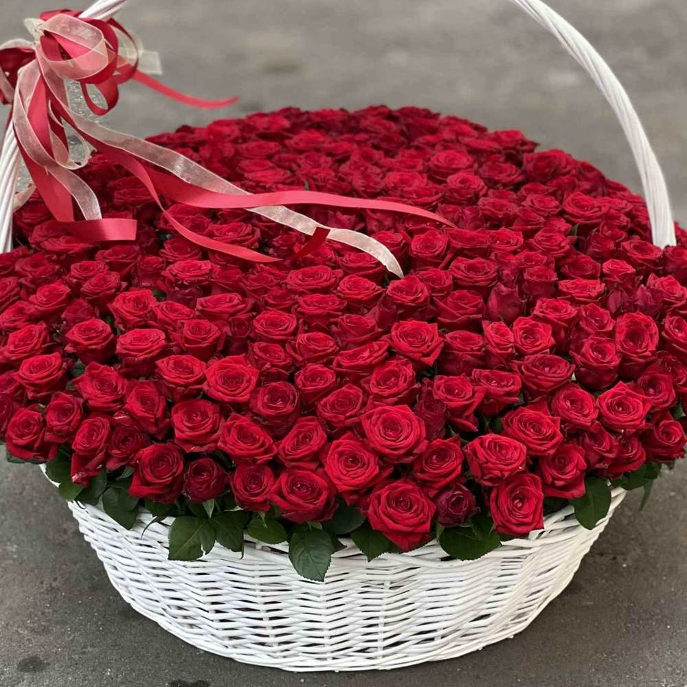 301 красная роза в корзине
