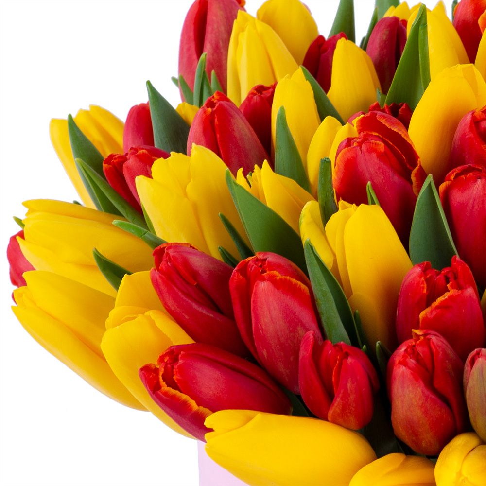 Букет из 101 разноцветного тюльпана в розовой шляпной коробке