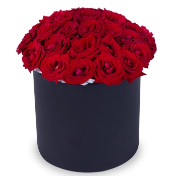 25 красных роз premium в черной шляпной коробке