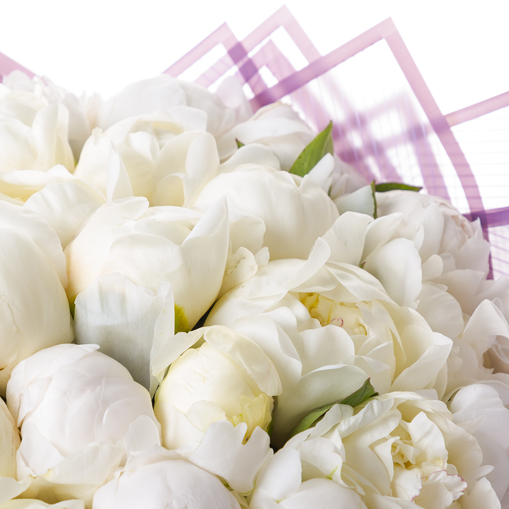 Букет из 21 белого пиона