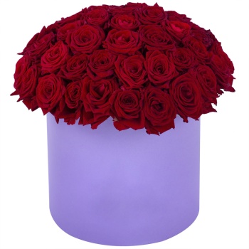 Букет из 51 красной розы premium в фиолетовой шляпной коробке