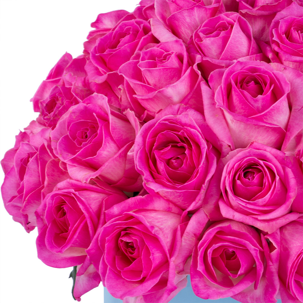 Букет из 51 малиновой розы premium в голубой шляпной коробке