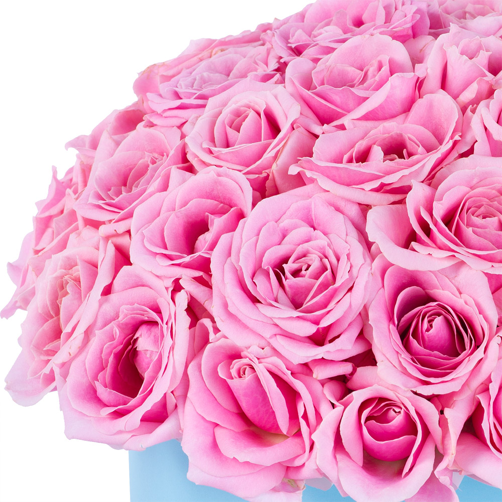 Букет из 51 розовой розы premium в голубой шляпной коробке