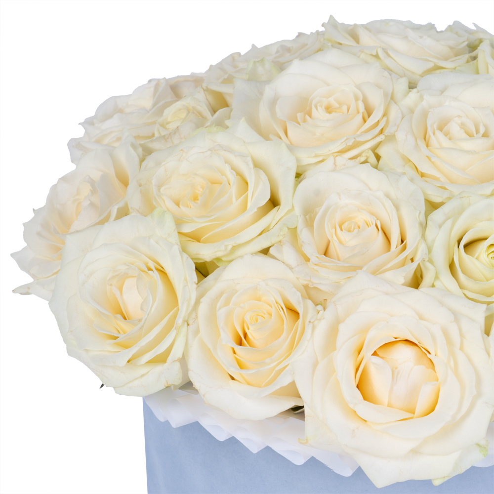 Букет из 25 белых роз premium в серой бархатной шляпной коробке