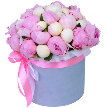 Букет из 35 разноцветных пионов в серой бархатной шляпной коробке