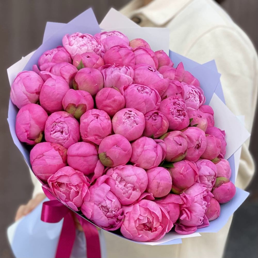 Букет из 51 розового пиона