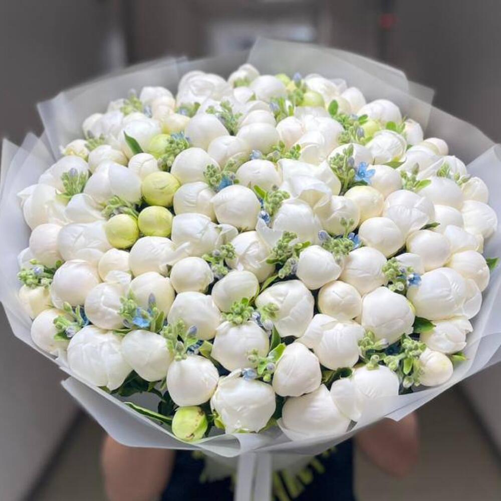 Букет из 101 белого пиона