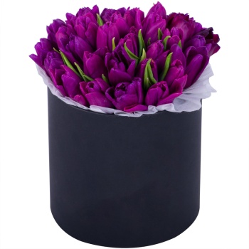 35 фиолетовых тюльпан в черной шляпной коробке