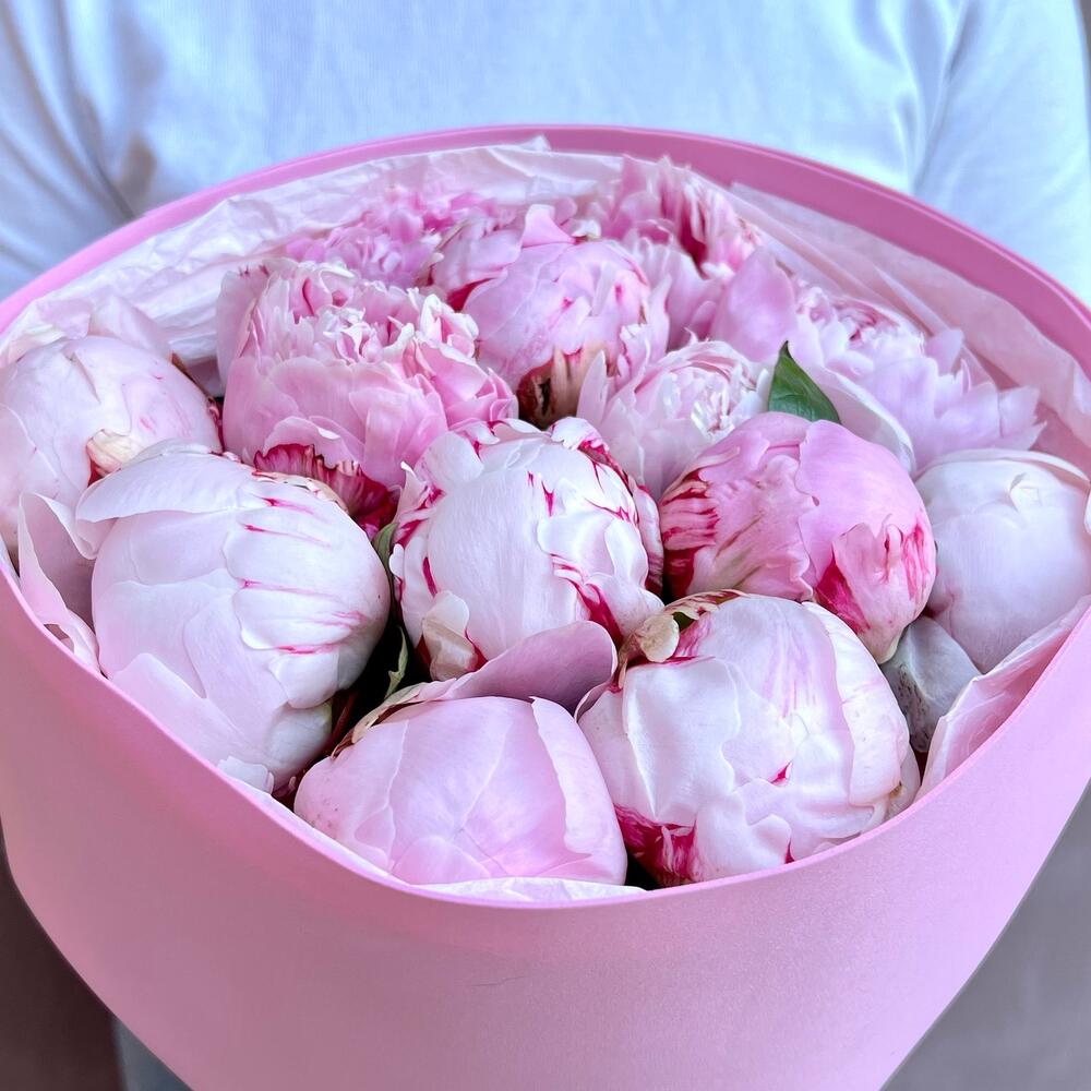 Букет из 11 нежно-розовых пионов