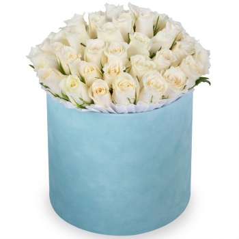 51 белая роза в бархатной шляпной коробке