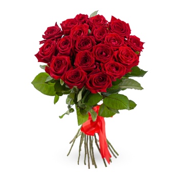 19 красных роз 60 см