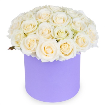 Букет из 25 белых роз premium в фиолетовой шляпной коробке