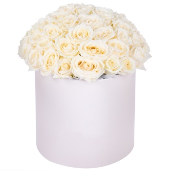 Букет из 51 белой розы premium в кремовой шляпной коробке
