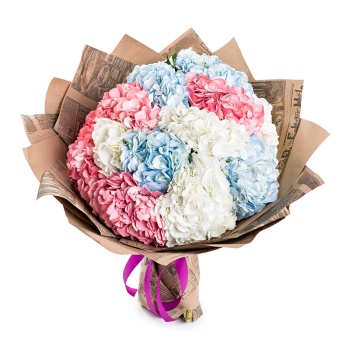 Букет из 15 разноцветных гортензий