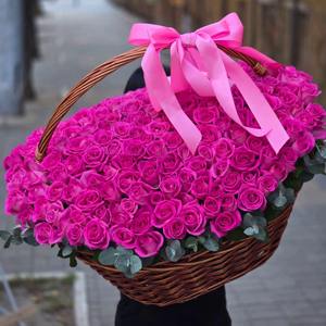 201 малиновая роза в корзине