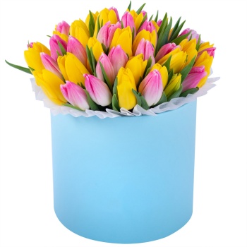 51 разноцветных тюльпан в голубой шляпной коробке