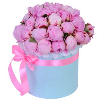 Букет из 35 розовых пионов в голубой шляпной коробке