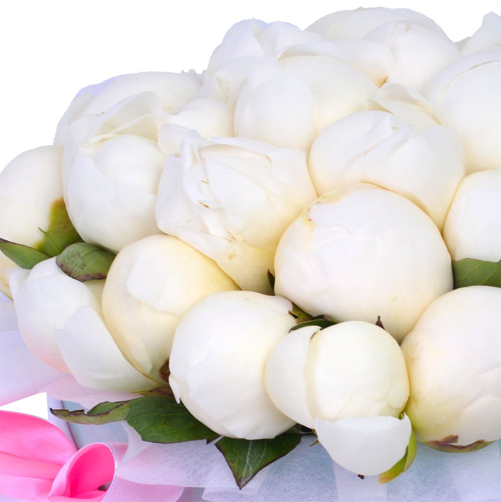 Букет из 35 белых пионов в зеленой бархатной шляпной коробке