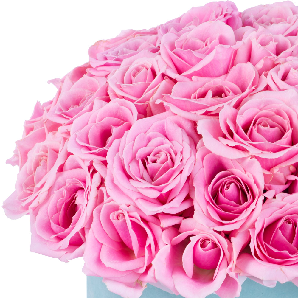 Букет из 51 розовой розы premium в бархатной шляпной коробке