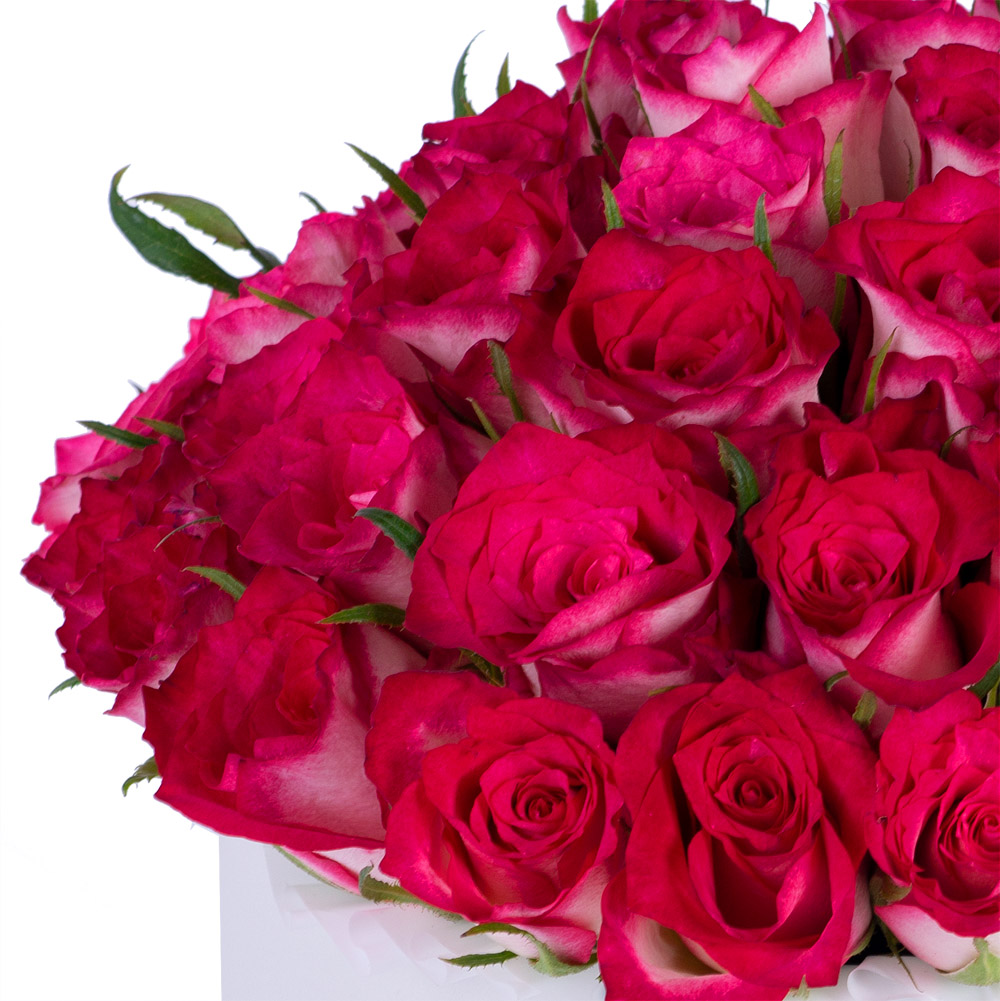 Букет из 51 бело-малиновой розы в белой шляпной коробке