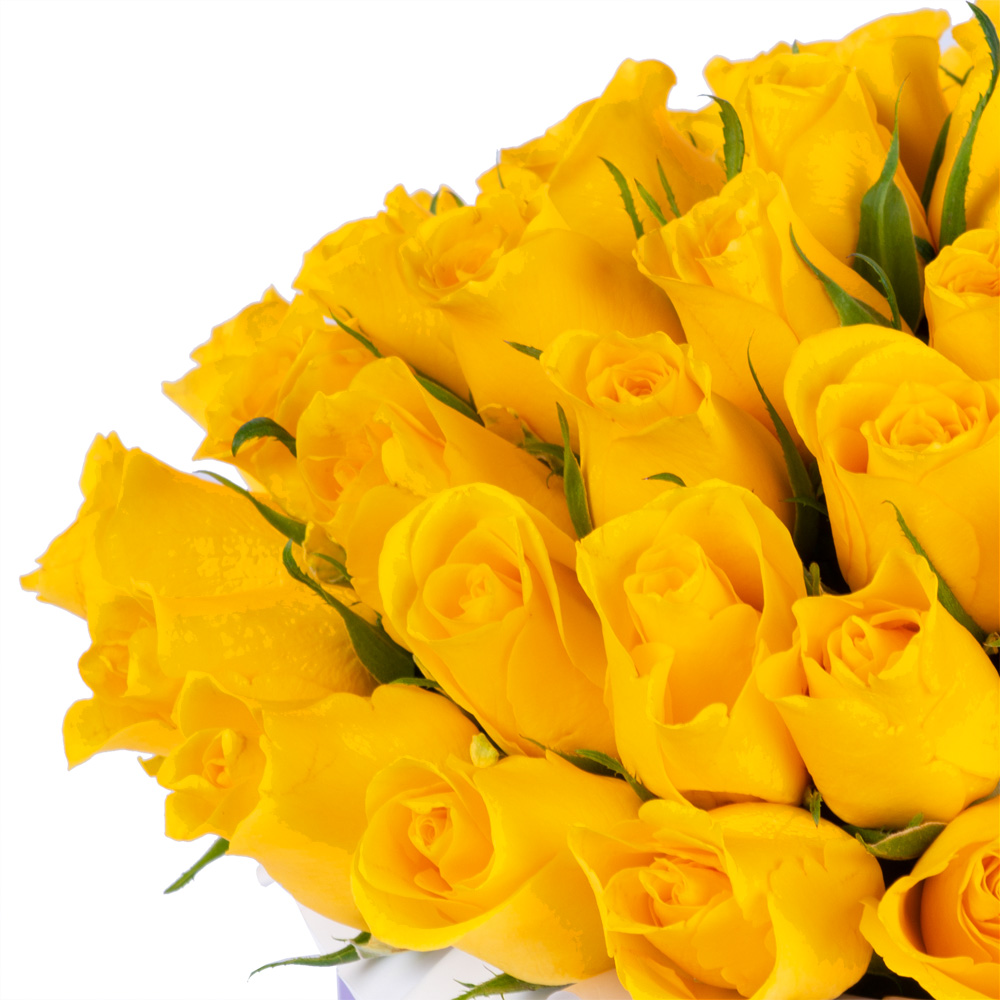 51 желтая роза в кремовой шляпной коробке