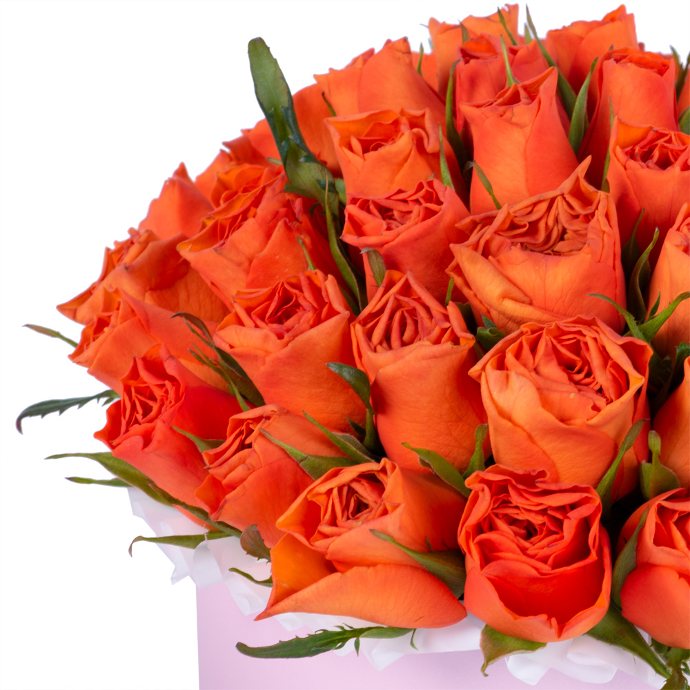 51 оранжевая роза в розовой шляпной коробке