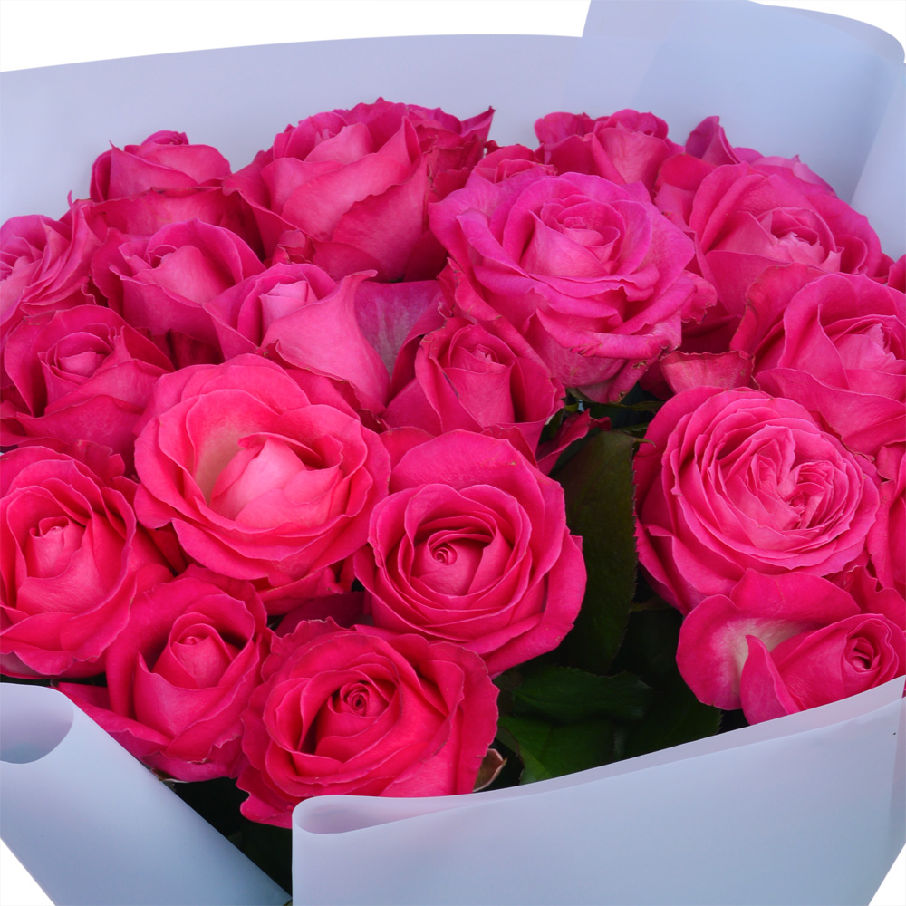 25 малиновых роз Premium 50 см