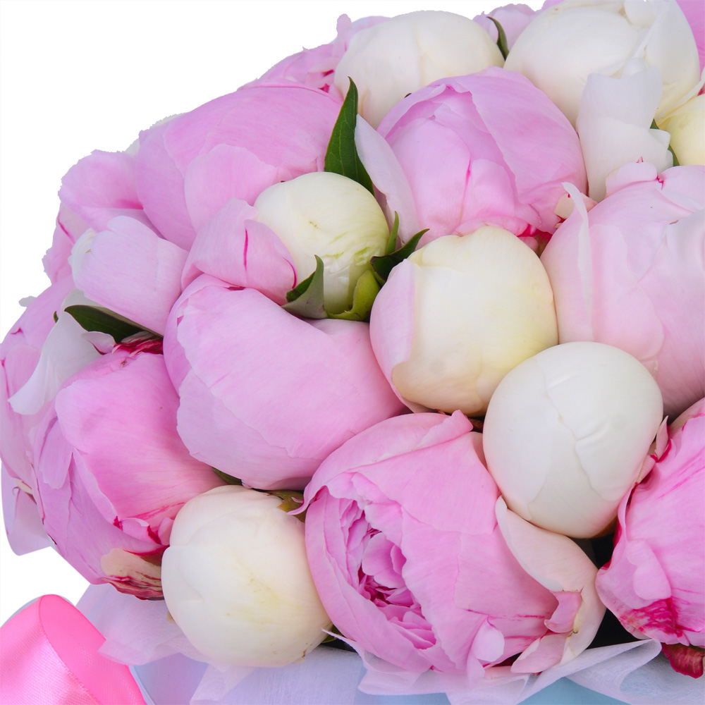 Букет из 35 разноцветных пионов в голубой шляпной коробке