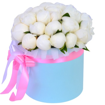 Букет из 25 белых пионов в голубой шляпной коробке