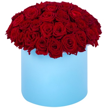 Букет из 51 красной розы premium в голубой шляпной коробке