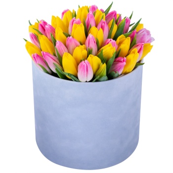 51 разноцветных тюльпан в серой бархатной шляпной коробке