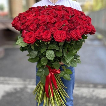 101 красная роза Эквадор 90 см.