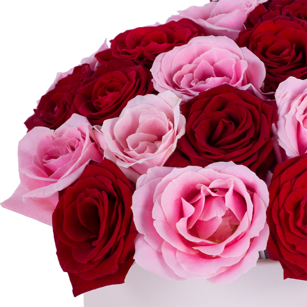 Букет из 35 разноцветных роз premium в кремовой шляпной коробке