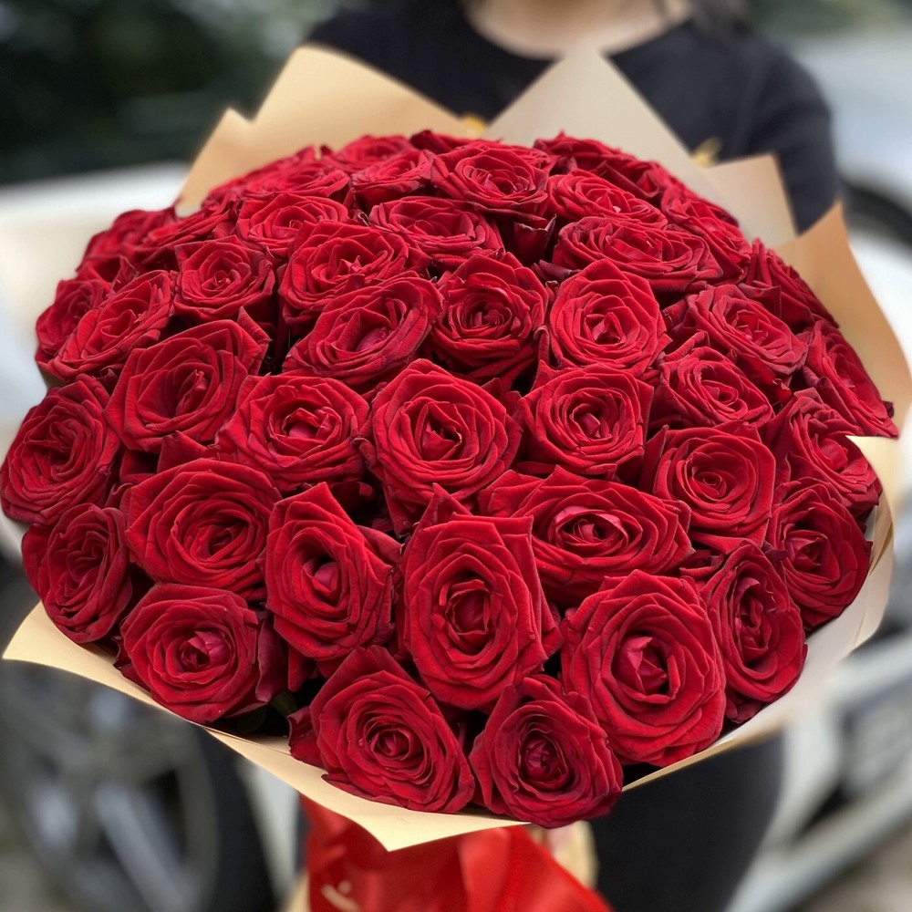 Акция! 51 красная роза Premium 50 см.