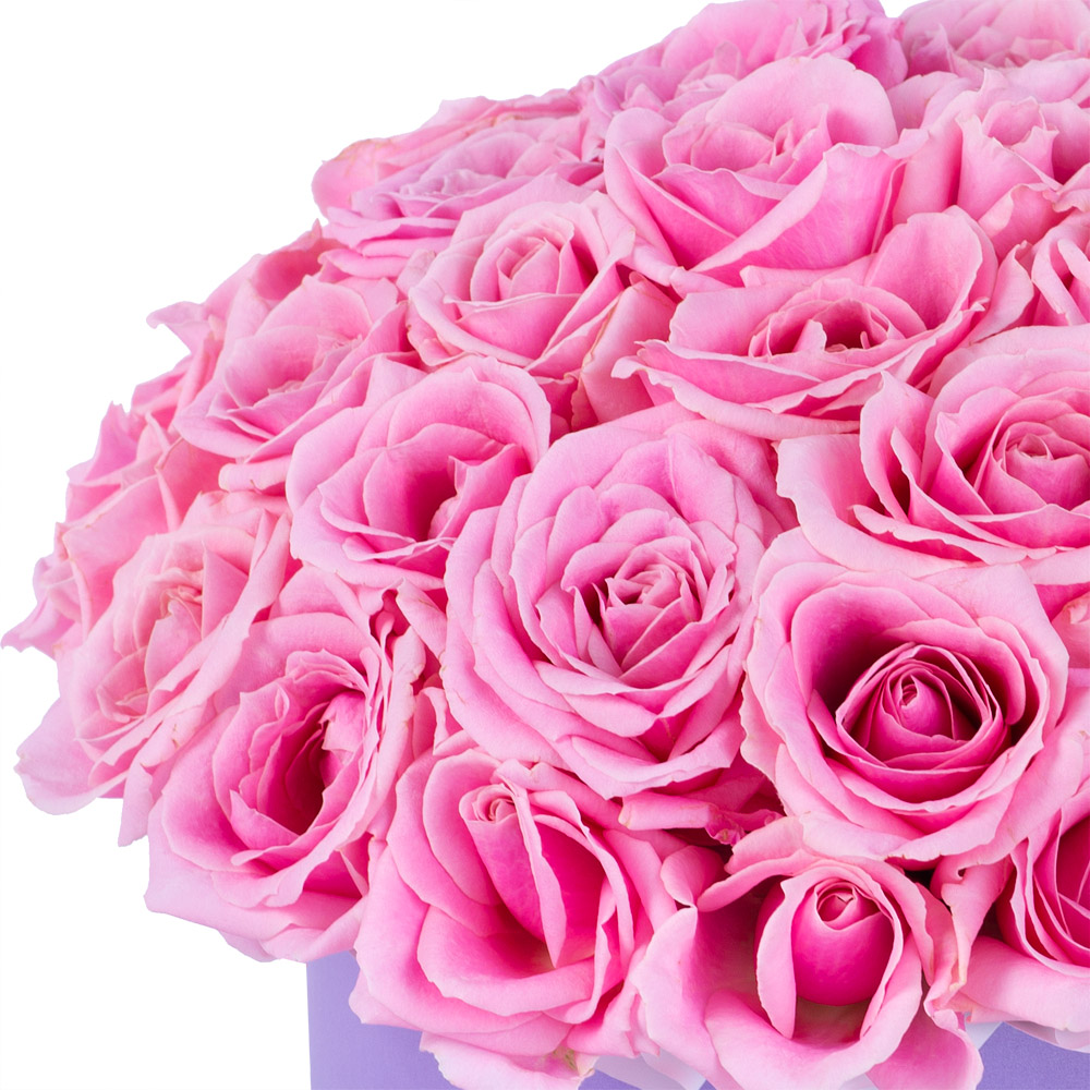 Букет из 51 розовой розы premium в фиолетовой шляпной коробке
