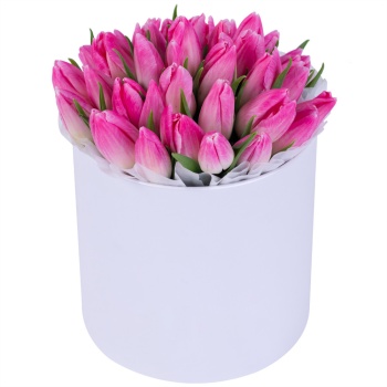 35 розовых тюльпан в белой шляпной коробке