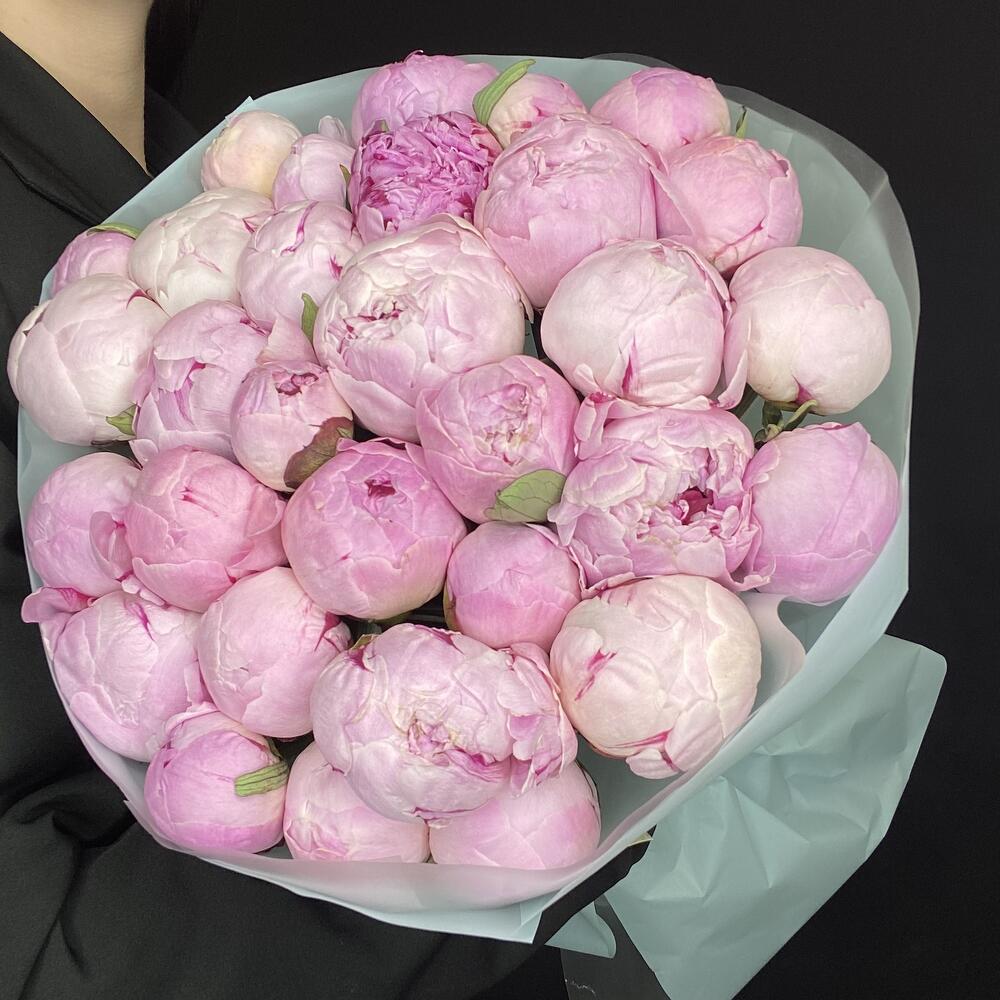 Букет из 31 нежно-розового пиона