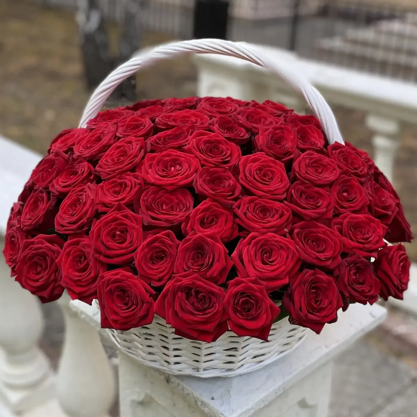 101 красная роза в корзине