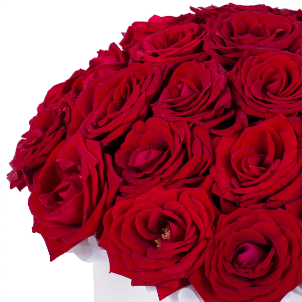 25 роз premium в кремовой шляпной коробке