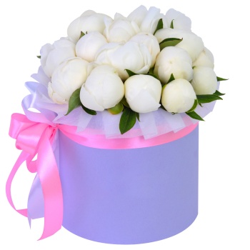 Букет из 19 белых пионов в фиолетовой шляпной коробке
