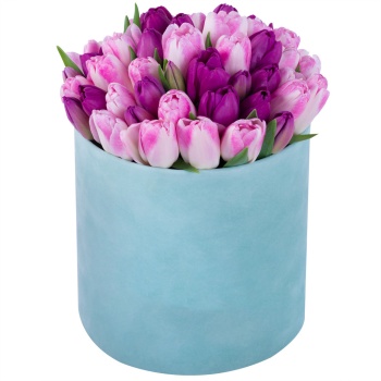 Разноцветный 51 тюльпан в зеленой бархатной шляпной коробке